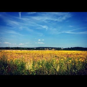 Meet your Posher, Tina